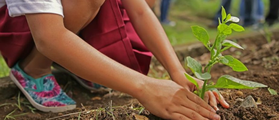 Como ensinar crianças sobre o meio ambiente na educação infantil? Como ensinar crianças sobre o meio ambiente na educação infantil?