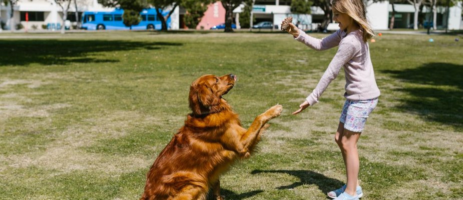 Quais os Melhores Animais de Estimação Para Crianças?