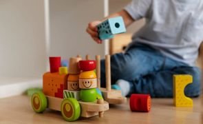 Brinquedos Montessorianos