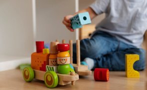 Brinquedos Montessorianos