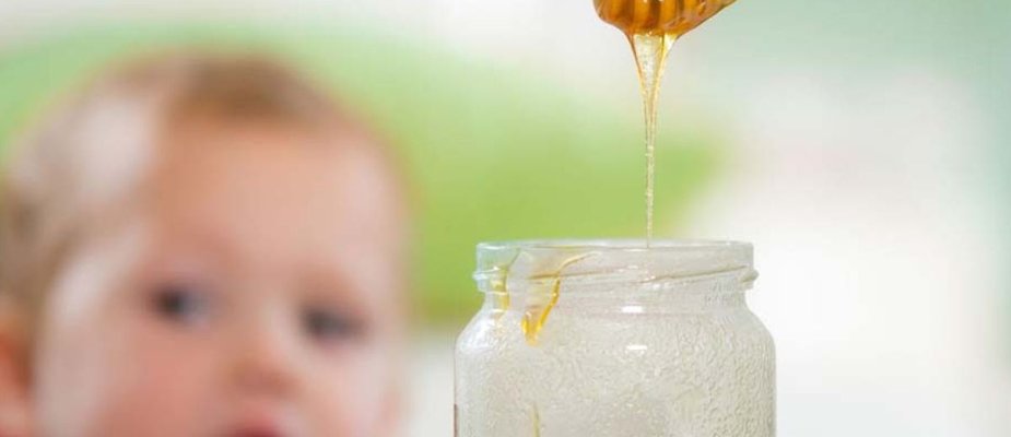 Por Que Bebê Não Pode Comer Mel?