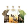 03 camiseta menino malha dinossauro brandili off white 4