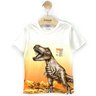 05 camiseta menino malha dinossauro brandili off white 4