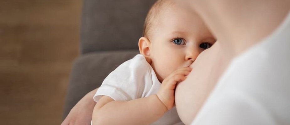 Alimentos que Aumentam Produção de Leite Materno Alimentos que Aumentam Produção de Leite Materno